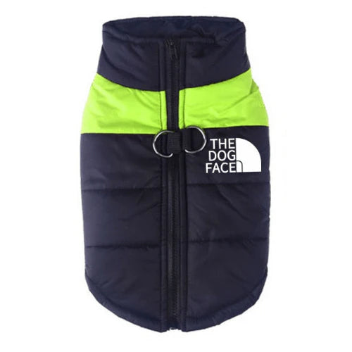 The Vest