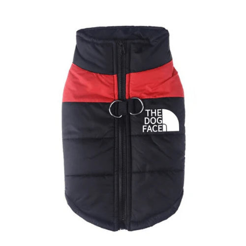 The Vest