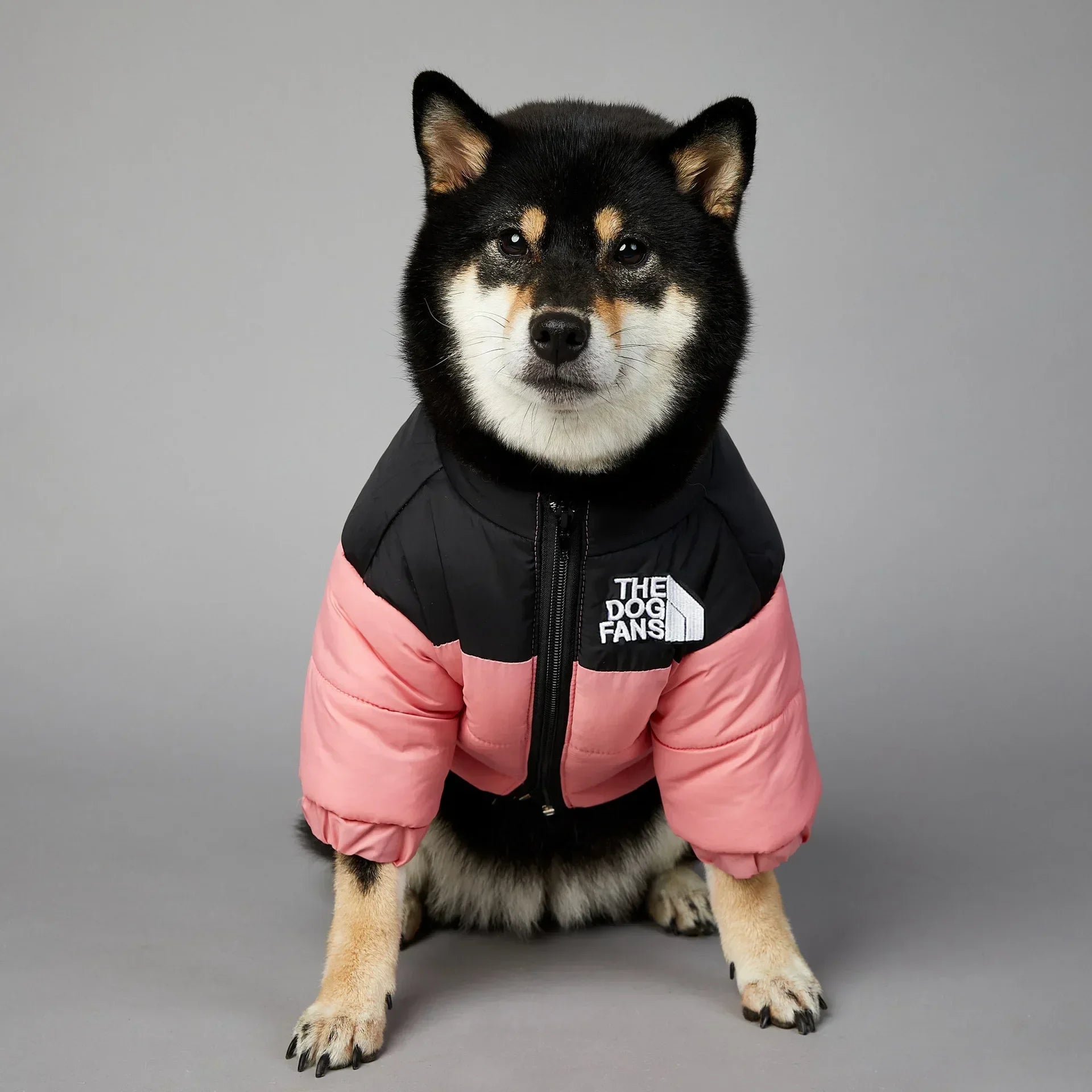 The Dog Fans Winter Pet Dog down Jacket Clothes for Small Medium Dogs Warm Thick Dog Vest French Bulldog Puppy Coat