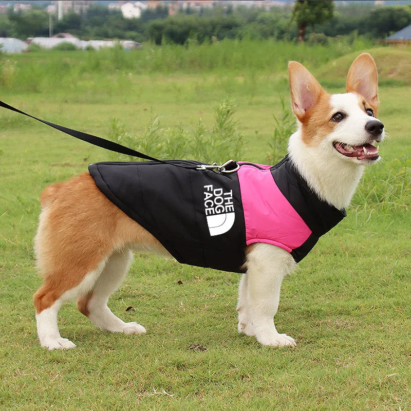 Waterproof Insulated Coat