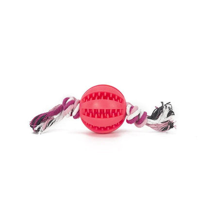 Tooth Cleaning Food Ball