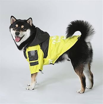 By Any Treats Necessary Jacket Orginal