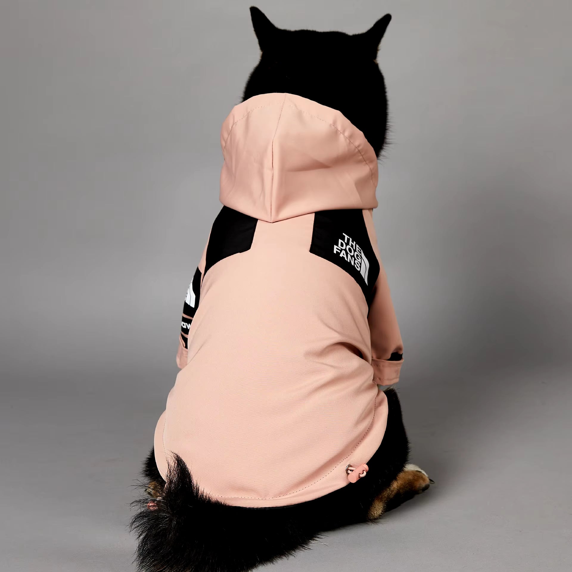 Raincoat The Dog Face