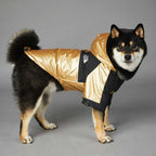 Weather-Resistant Jacket Orginal
