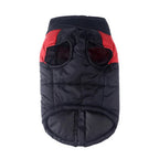 The Vest