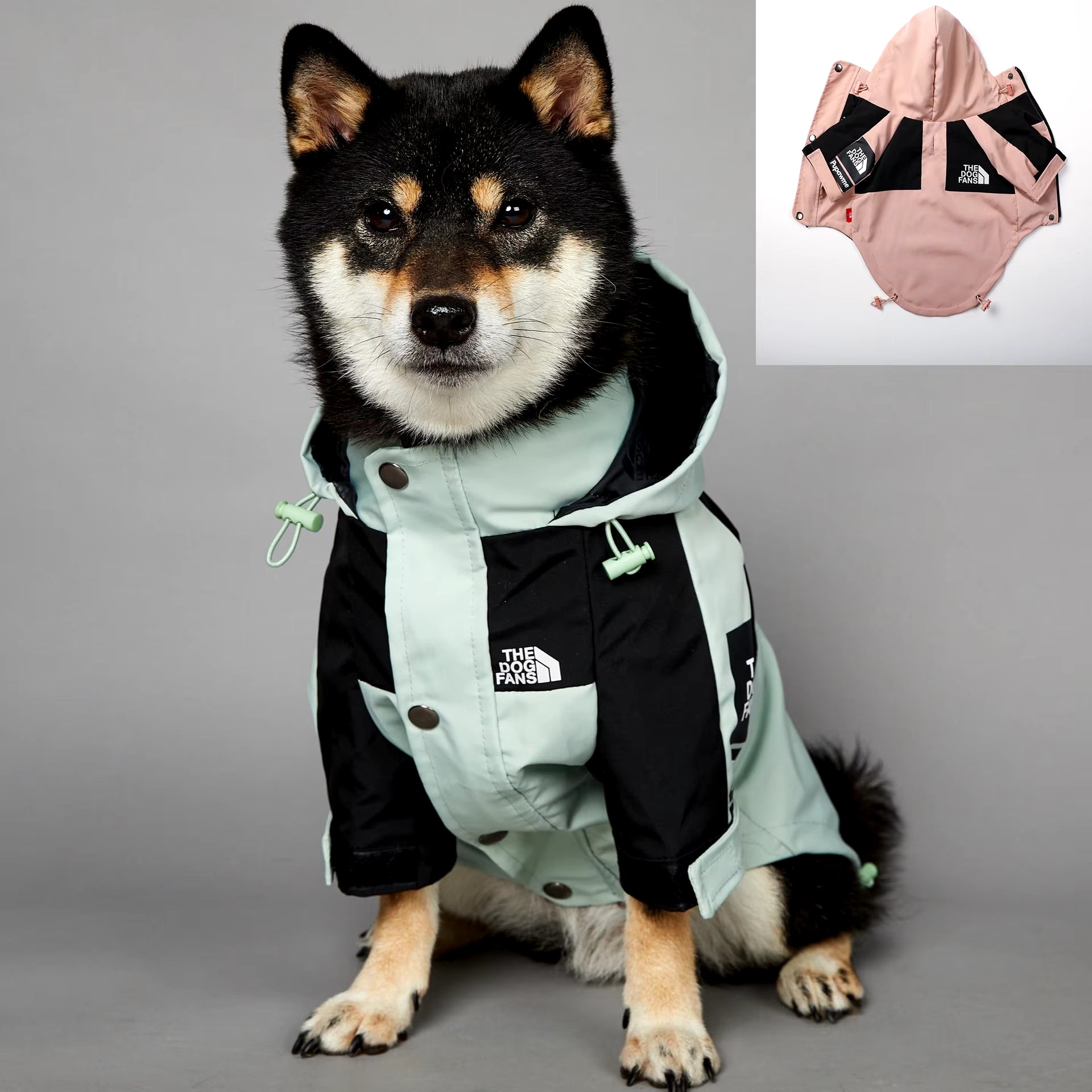 Raincoat The Dog Face