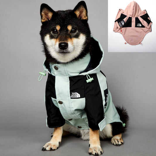 Raincoat The Dog Face