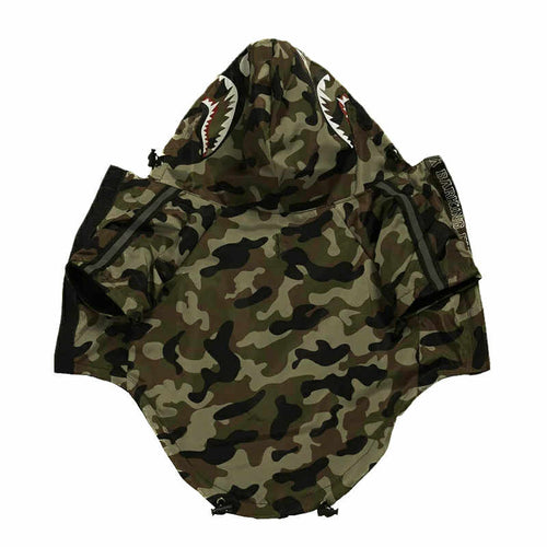 The Patterns - GoFetch